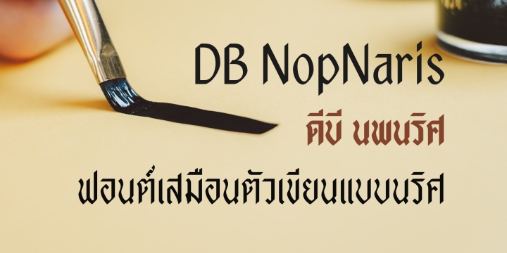 DB NopNaris