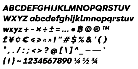 DB Mean Bold Italic